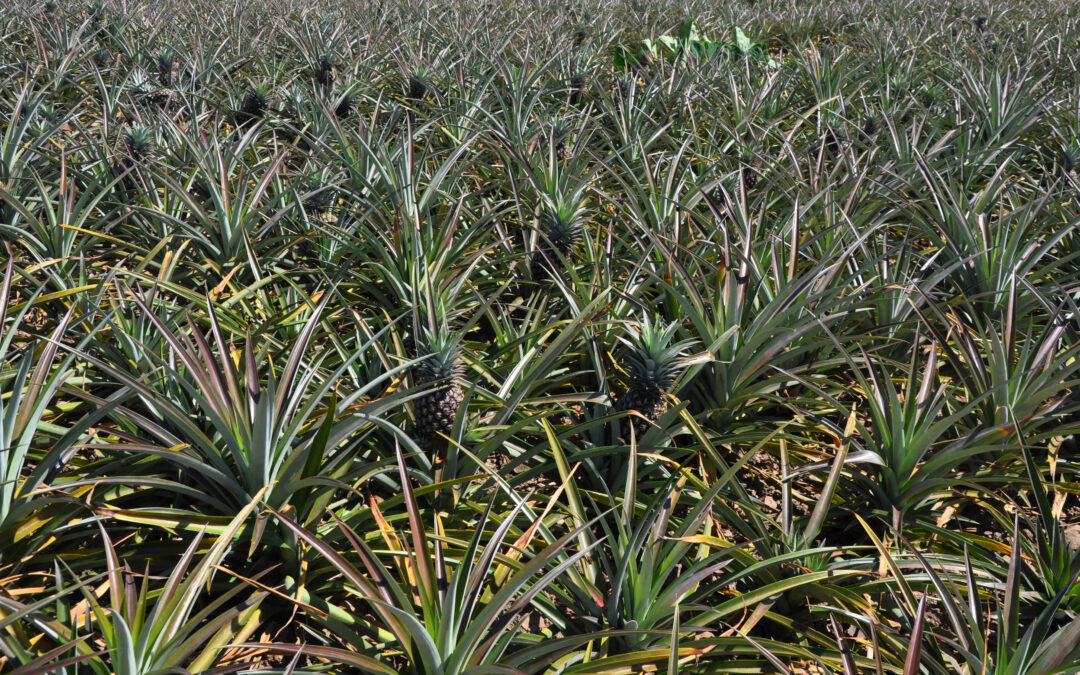 Environmental Protection