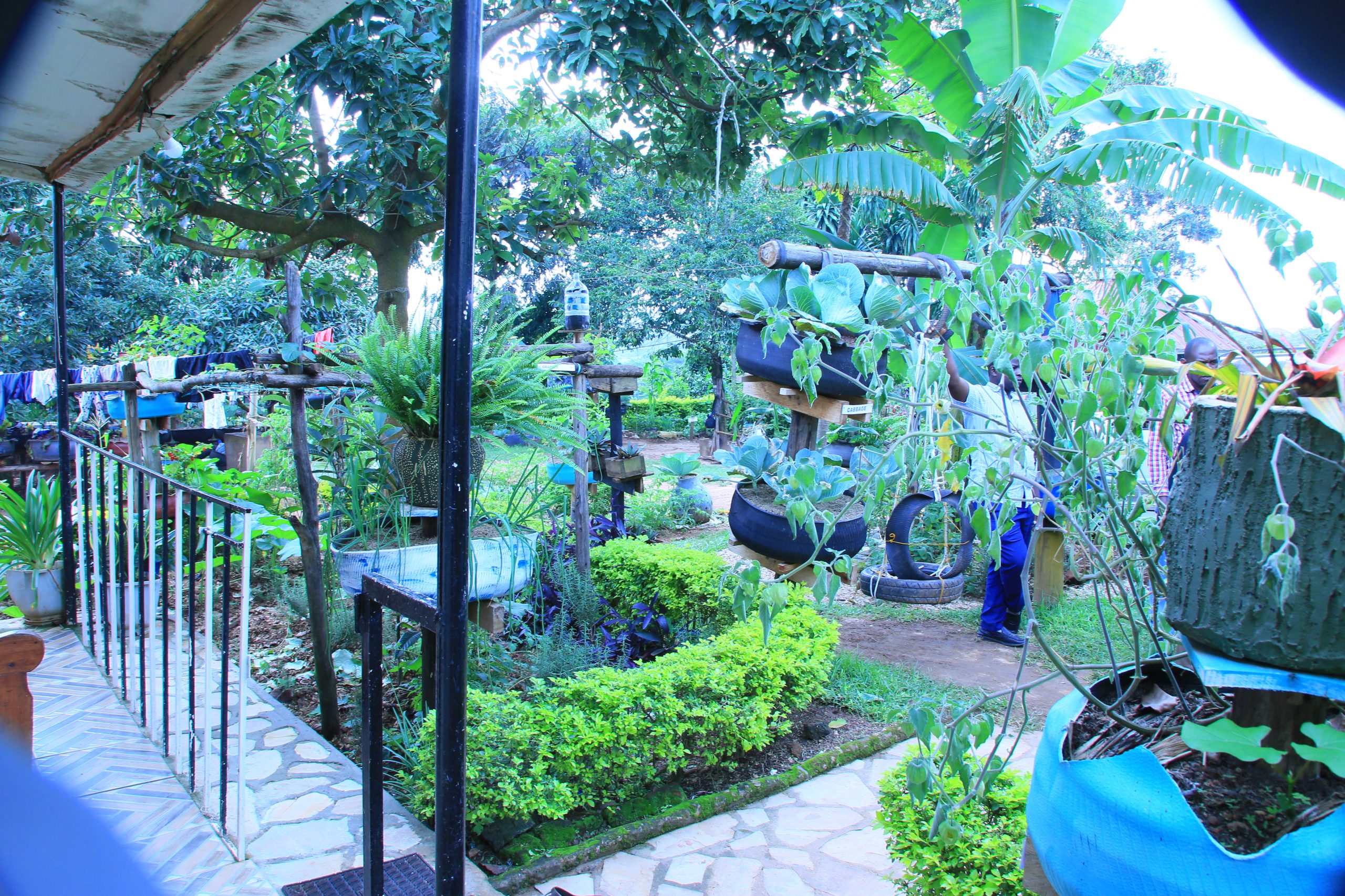 Mini Garden 1