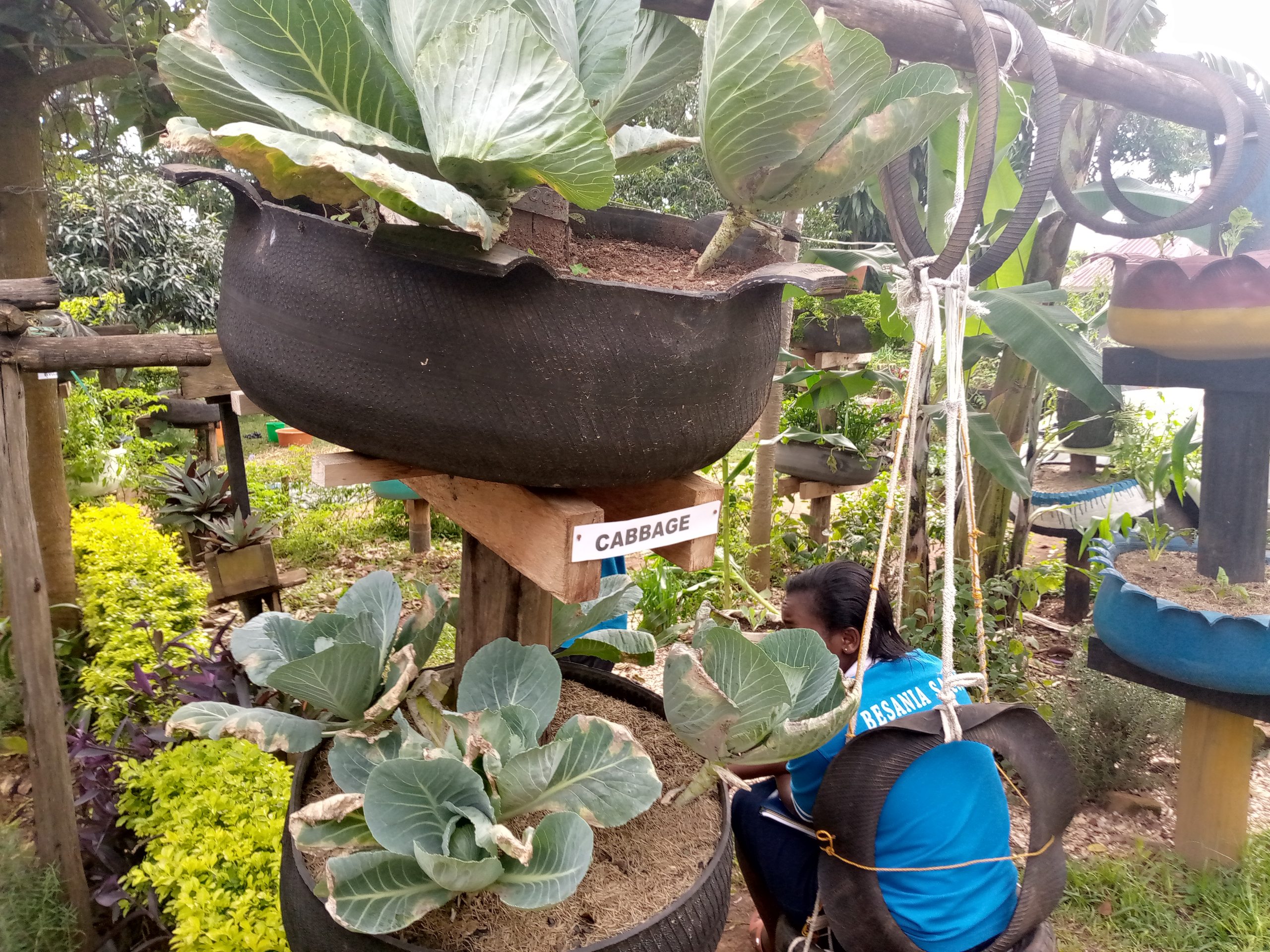 Besania Sacco