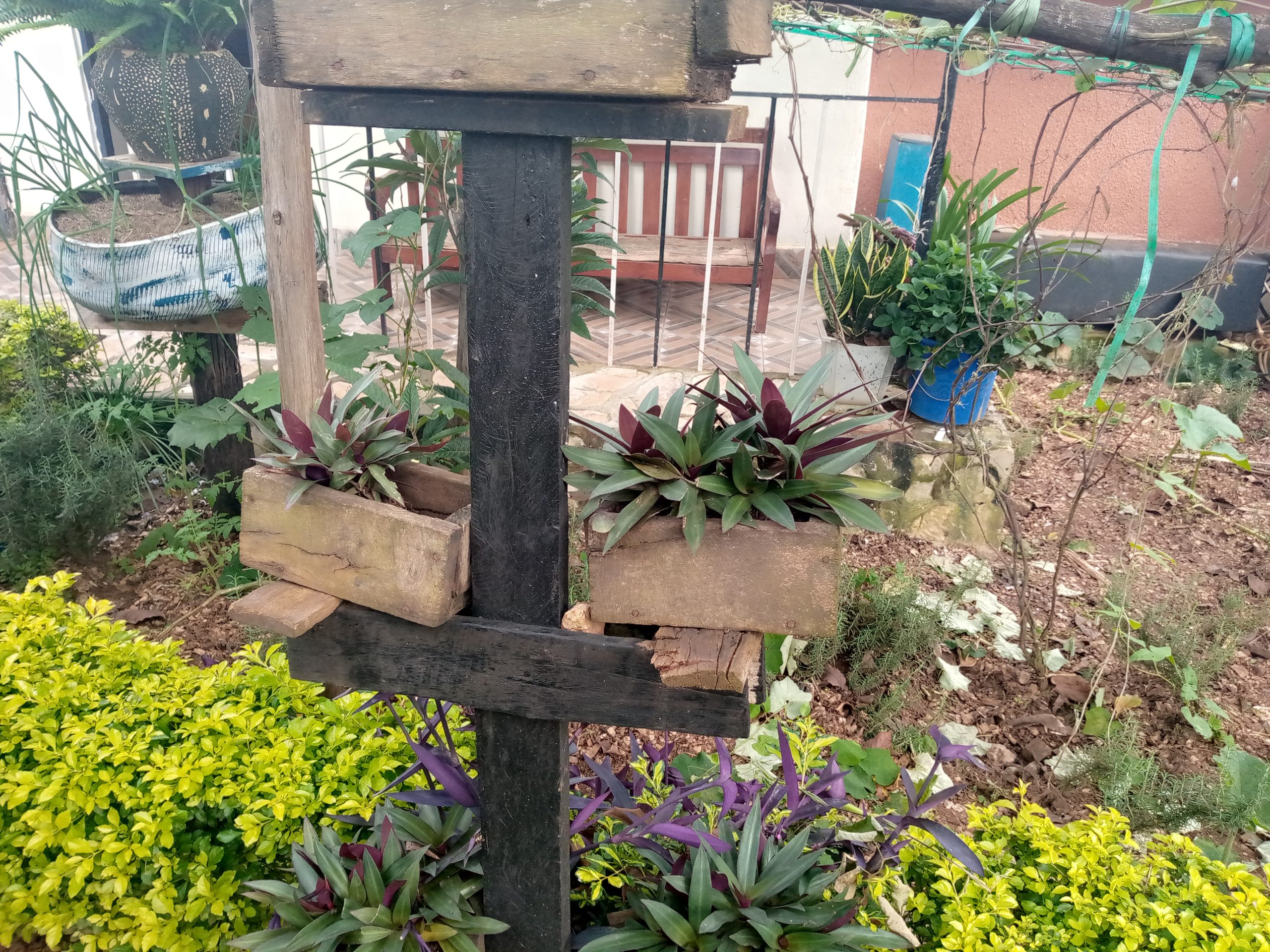 Mini Garden 13