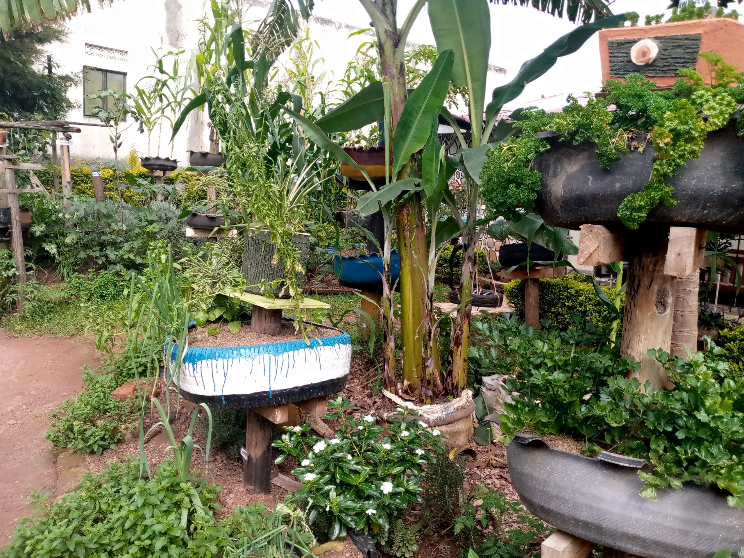 Besania Sacco