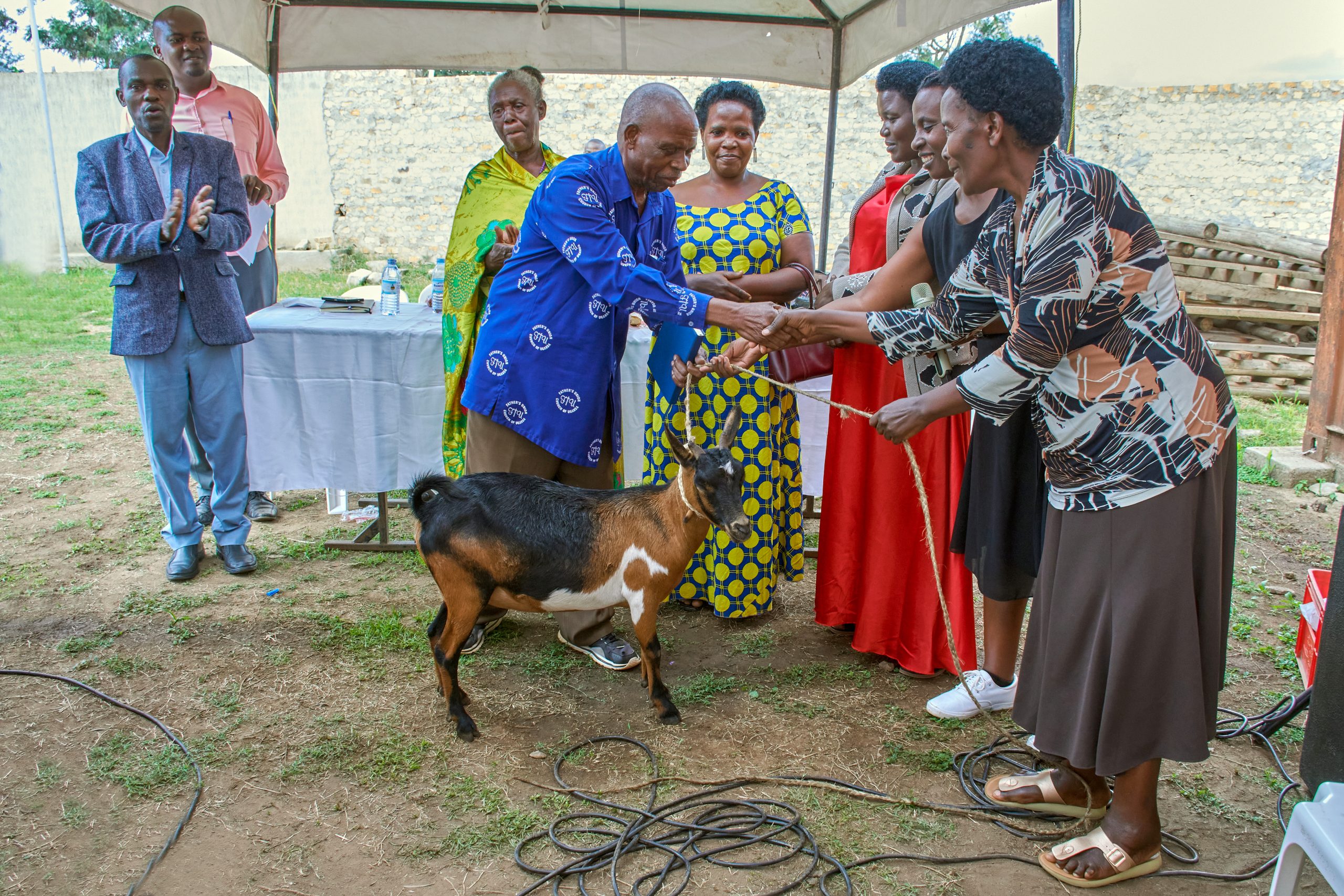 Besania Sacco
