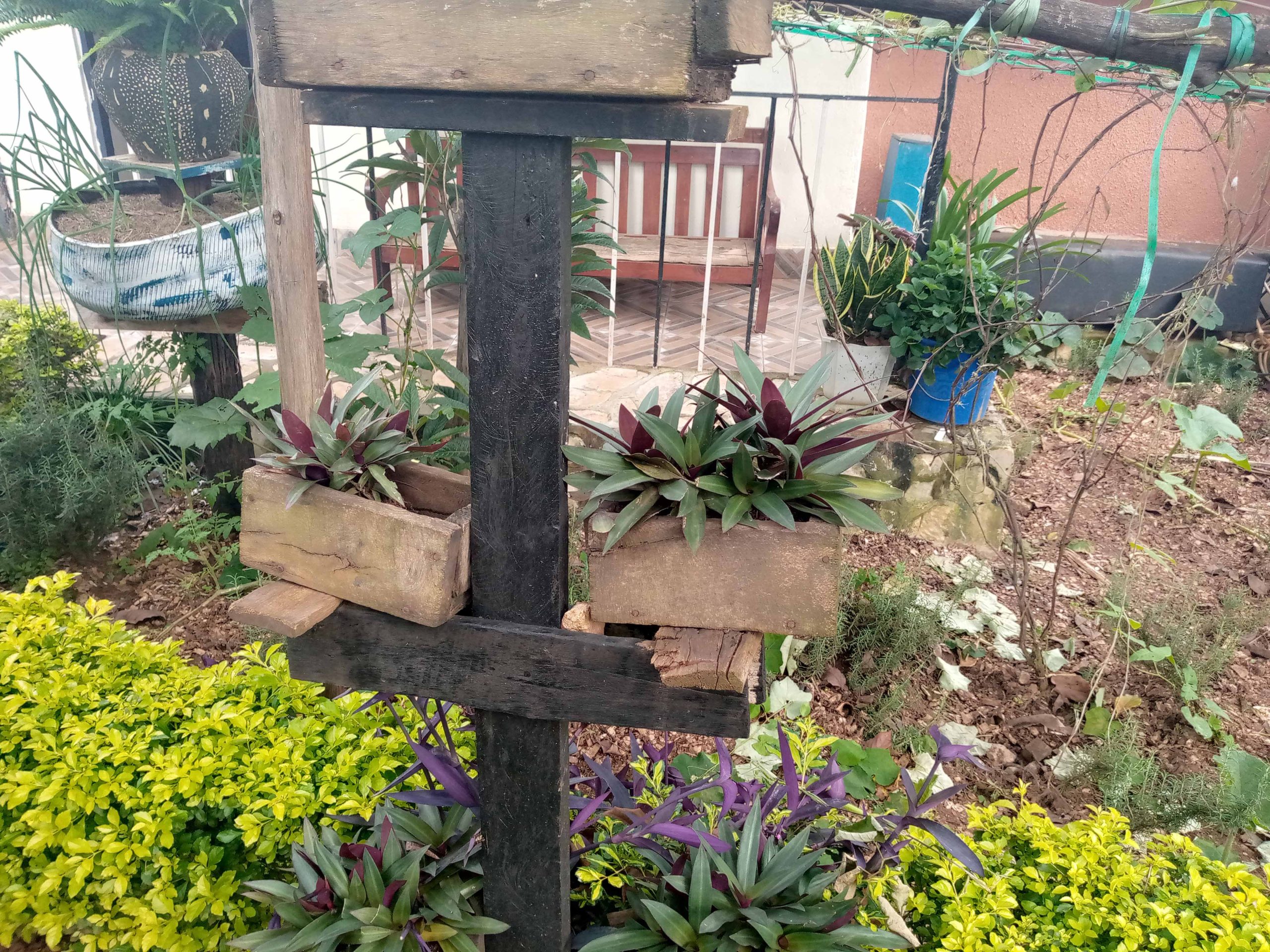 Mini Garden 13